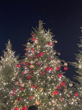 Christmas Market in 横浜赤レンガ倉庫 2025に投稿された画像（2025/12/12）