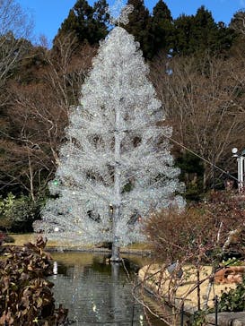 箱根ガラスの森美術館に投稿された画像（2025/12/12）