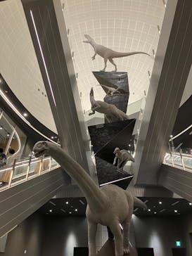 福井県立恐竜博物館に投稿された画像（2025/12/12）