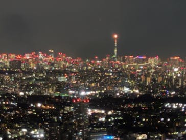 横浜ランドマークタワー 69階展望フロア スカイガーデンに投稿された画像（2025/12/12）