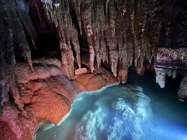 おきなわワールドに投稿された画像（2025/12/12）