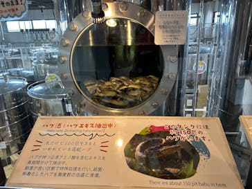 おきなわワールドに投稿された画像（2025/12/12）