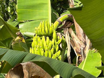 おきなわワールドに投稿された画像（2025/12/12）