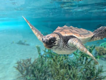 鴨川シーワールドに投稿された画像（2025/12/12）