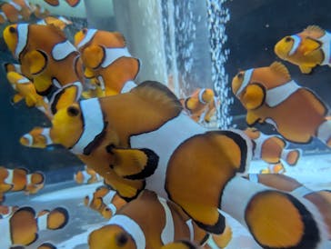 鴨川シーワールドに投稿された画像（2025/12/12）