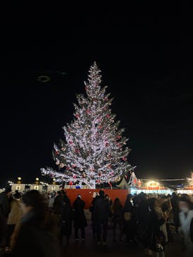 Christmas Market in 横浜赤レンガ倉庫 2025に投稿された画像（2025/12/12）
