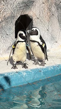 恩賜上野動物園に投稿された画像（2025/12/12）