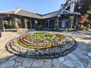 グラバー園に投稿された画像（2025/12/13）