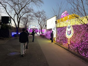 さがみ湖MORI MORIに投稿された画像（2025/12/13）