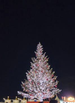 Christmas Market in 横浜赤レンガ倉庫 2025に投稿された画像（2025/12/13）