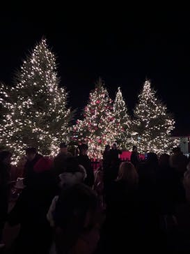 Christmas Market in 横浜赤レンガ倉庫 2025に投稿された画像（2025/12/13）