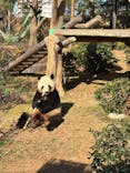 恩賜上野動物園に投稿された画像（2025/12/13）