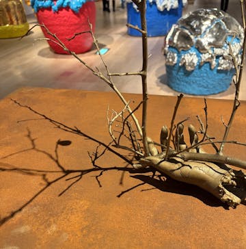 森美術館に投稿された画像（2025/12/13）