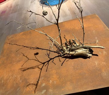 森美術館に投稿された画像（2025/12/13）