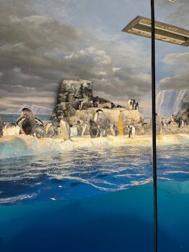 名古屋港水族館に投稿された画像（2025/12/13）