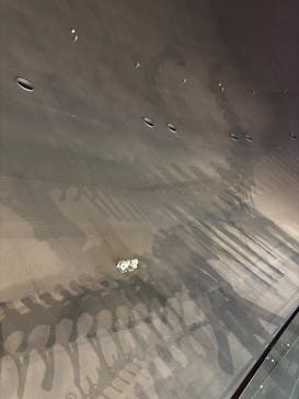 福井県立恐竜博物館に投稿された画像（2025/12/13）