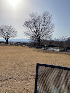 世界の名犬牧場に投稿された画像（2025/12/13）