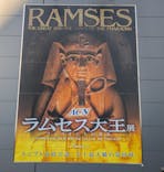 ACN ラムセス大王展 ファラオたちの黄金に投稿された画像（2025/12/13）