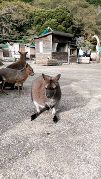伊豆アニマルキングダムに投稿された画像（2025/12/13）