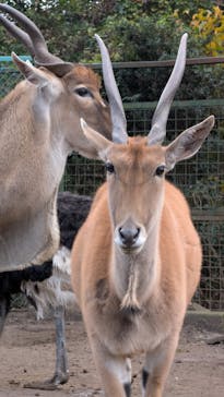 伊豆アニマルキングダムに投稿された画像（2025/12/13）