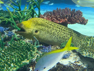 サンシャイン水族館に投稿された画像（2025/12/13）