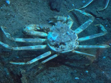 城崎マリンワールドに投稿された画像（2025/12/13）