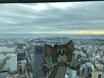 横浜ランドマークタワー 69階展望フロア スカイガーデンに投稿された画像（2025/12/13）