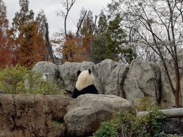 恩賜上野動物園に投稿された画像（2025/12/13）