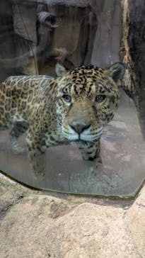 那須どうぶつ王国に投稿された画像（2025/12/13）