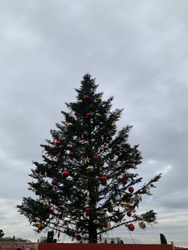 Christmas Market in 横浜赤レンガ倉庫 2025に投稿された画像（2025/12/13）