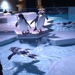 AOAO SAPPOROに投稿された画像（2025/12/13）