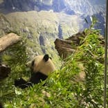 恩賜上野動物園に投稿された画像（2025/12/13）