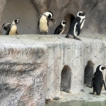 恩賜上野動物園に投稿された画像（2025/12/13）