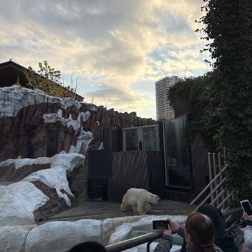 恩賜上野動物園に投稿された画像（2025/12/13）