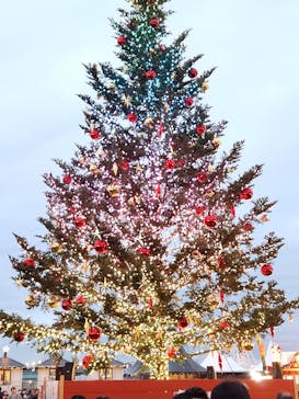 Christmas Market in 横浜赤レンガ倉庫 2025に投稿された画像（2025/12/13）