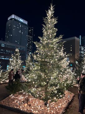 Christmas Market in 横浜赤レンガ倉庫 2025に投稿された画像（2025/12/13）