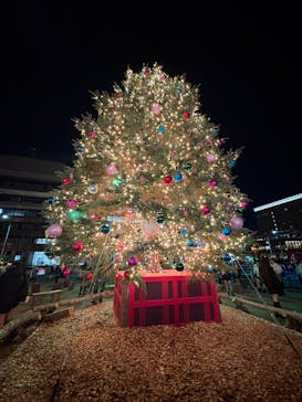 Christmas Market in 横浜赤レンガ倉庫 2025に投稿された画像（2025/12/13）