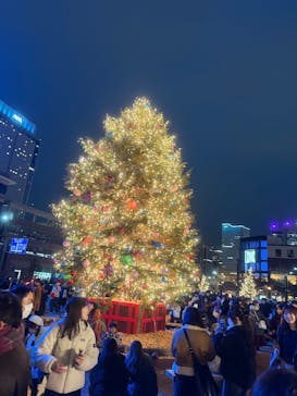 Christmas Market in 横浜赤レンガ倉庫 2025に投稿された画像（2025/12/13）