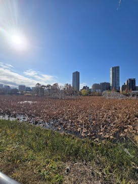 恩賜上野動物園に投稿された画像（2025/12/13）
