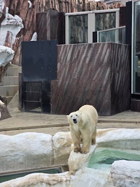 恩賜上野動物園に投稿された画像（2025/12/13）