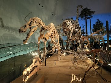 福井県立恐竜博物館に投稿された画像（2025/12/13）