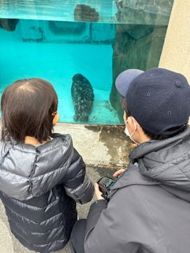 恩賜上野動物園に投稿された画像（2025/12/13）