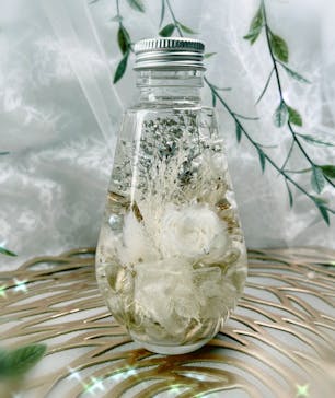 ずこうしつ〜sugamo〜に投稿された画像（2025/12/13）