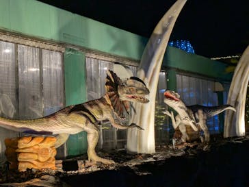 伊豆高原グランイルミに投稿された画像（2025/12/13）