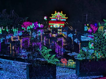 伊豆高原グランイルミに投稿された画像（2025/12/13）