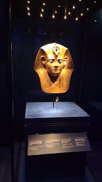 ACN ラムセス大王展 ファラオたちの黄金に投稿された画像（2025/12/13）
