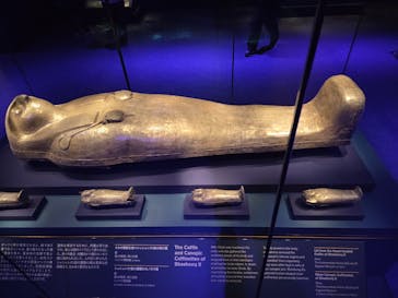 ACN ラムセス大王展 ファラオたちの黄金に投稿された画像（2025/12/13）