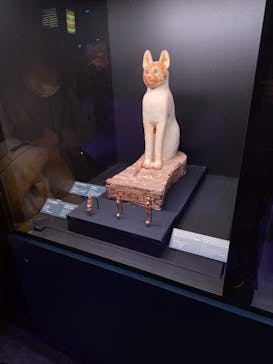 ACN ラムセス大王展 ファラオたちの黄金に投稿された画像（2025/12/13）