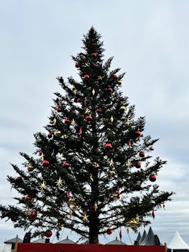Christmas Market in 横浜赤レンガ倉庫 2025に投稿された画像（2025/12/13）