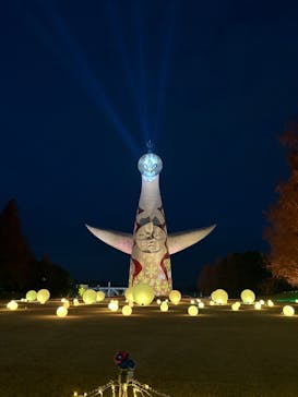 万博記念公園に投稿された画像（2025/12/13）